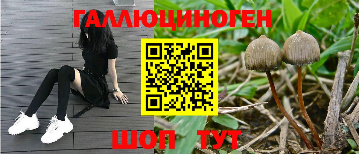 Галлюциногенные грибы GOLDEN TEACHER Мичуринск
